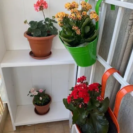 Cin Cin Centro Apartment